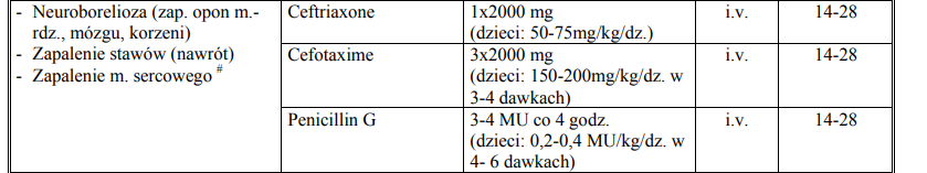 wytyczne leczenia -neuroborelioza